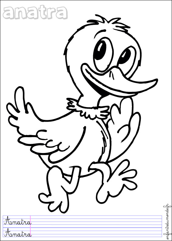 coloriage canard 3
